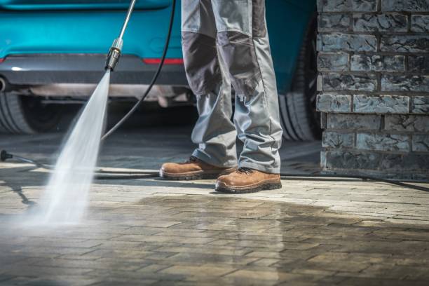 Best Dumpster Area Cleaning  in Port Gibson, MS